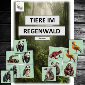 Lotto degli animali Animali della foresta pluviale Carte con animali Asilo Bambini Imparare Giocando Idea Progetto Offerta Educatore Montessori Tigre Panda Koala Scimmia