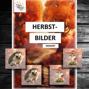 Herfst Jaarlijks Klok Seizoen Maanden Kinderen Speelkaarten Leren Weer Wolken Oktober Halloween November Ochtend Cirkel Montessori Kleuterschool