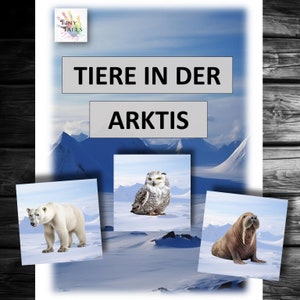 Immagini di animali Animali nell'Artico Animali artici Bambini Montessori Asilo Nido Gioca Impara Carte animali Idee Offerta Orso polare Snow Husky