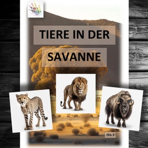 Savannentiere Teil 1 Tierbilder Tiere Savanne Montessori Kindergarten Spielen Lernen Tierkarten Kinder Ideen Projekt Angebot Kita Löwe Zebra