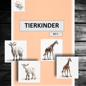 Animal Children Set 1 Tarjetas ilustradas de animales Montessori Niños jugando Juego de mosaico Clasificación Escuela primaria Jirafa Oso polar Tortuga Asignar Círculo de la mañana