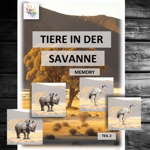Memory Tiere Kinder Spielen Montessori Lernen Tierkarten Tischspiel Kindergarten Schule  Savanne Wüste Steppe Nashorn Echse Nilpferd Hitze