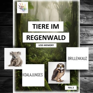Memory Rainforest Part 2 Reading Letters Words Learning Practice Children School Preparation Elementary School Fun Excitement Material Class Animals Card