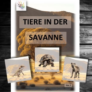 Savannentiere Teil 2 Tierbilder Savanne Tiere Montessori Kindergarten Kinder Lernen Spielen Ideen Angebot Tierkarten Nashorn Nilpferd Kita