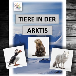 Immagini di animali Animali nell'Artico Animali artici Montessori Imparare giocando Bambini Asilo Carte con animali Idee Offerta Educatore Orso polare Husky