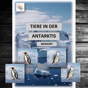 Memória Animais Crianças Brincam Montessori Aprendendo Cartas de Animais Jogo de Mesa Escola de Jardim de Infância Antártida Pinguim Orca Kita Idéia Projeto Inverno Frio
