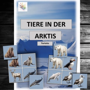 Loteria de Animais Animais Ártico Cartões de Animais Montessori Jardim de Infância Aprendendo Brincando Crianças Projeto Oferta Ideia Educador Presépio Husky Urso Polar Baleia Alce