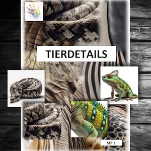 Könnte beinhalten: Nahaufnahmen von Tierhauttexturen, darunter eine Schlange, ein Chamäleon und ein Zebra. Der Text "TIERDETAILS SET 1" befindet sich am unteren Rand des Bildes.