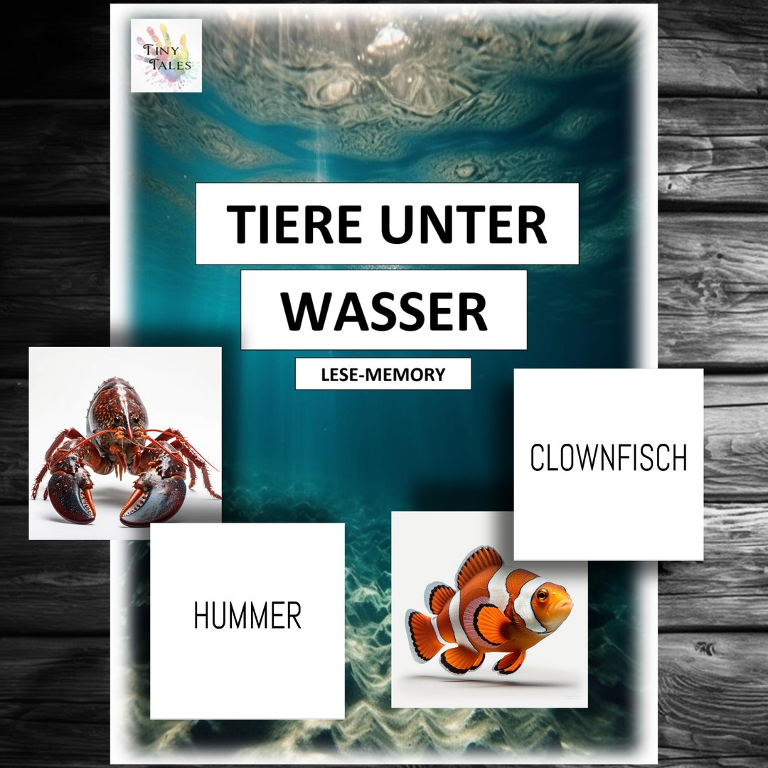 Memory Lesen Buchstaben Lernen Spielen Kinder Grundschule - Etsy