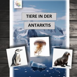Tierbilder Tierkarten Tiere Antarktis Montessori Kinder Lernen Spielen Kindergarten Krippe Tiere in der Antarktis Ideen Angebot Orca Pinguin