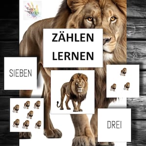 Zählen lernen Zahlen Ziffern Kinder Schulkind Grundschule Mathematik Rechnen Addieren Übungen Lehrer Erzieherin Montessori Löwe Bilderkarten