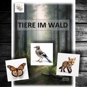 Animali della foresta Parte 2 Animali Immagini di animali Educatore della foresta Presepe Asilo Montessori Gioca Impara i bambini Idee Progetto Natura Abitanti della foresta
