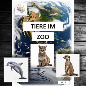 Zootiere Set 2 Tierkarten Montessori Kindergarten Erzieherin Spielen Entdecken Zoobesuch Projektthema Spielideen Morgenkreis Angebot Schule