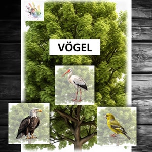 Vögel Tiere Flügel Fliegen Luft Himmel Freiheit Bilderkarten Spielen Lernen Kinder Projekt Thema Arbeiten Idee Morgenkreis Legespiel Angebot