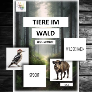 Memory Reading Beginner Play Version Names Animal Cards Play Learning Concentration School Kindergarten Elementary Preschool Exercises Fun