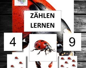 Numbers Counting Counting Children Kindergarten School Playing Learning Game Kita Montessori Mathematics Math Practice Homework Exercises Holiday Idea