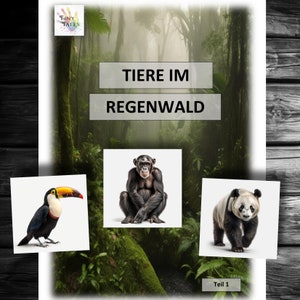 Dierenfoto's deel 1 Dierenkaarten Regenwouddieren in het regenwoud Leren kinderen Spelende dieren Kleuterschool Kerstproject Ochtendcirkel Panda Krokodil