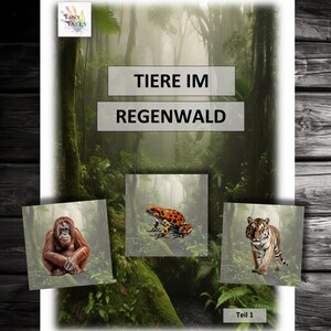 Dierenfoto's deel 1 Dierenkaarten Dieren in het regenwoud Montessori Leren Spelen Kleuterschool Kinderen Kinderdagverblijf Kerststal Dieren Idee Koala Krokodil Panda