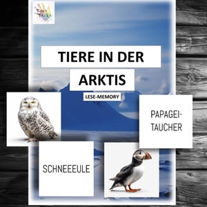 Memoria Ártico Hielo Nieve Animales Tarjetas Leer Letras ABC Escuela Primaria Práctica De Aprendizaje Niños Lecciones Jugar Glaciar Frío Recordar Amigos