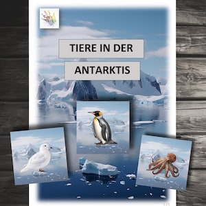 Tierbilder Tierkarten Tiere Antarktis Montessori Kinder Kindergarten Lernen Spielen Tiere in der Antarktis Idee Angebot Projekt Pinguin Orca