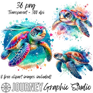 Paquete de imágenes prediseñadas de tortugas marinas, paquete de imágenes prediseñadas de tortugas marinas en acuarela, paquete de imágenes prediseñadas de tortugas marinas bebés, imágenes prediseñadas de tortugas marinas coloridas, uso comercial