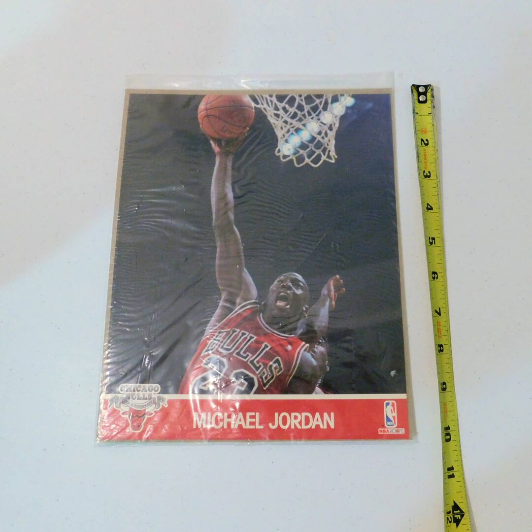 michael jordan 358 nba hoops
