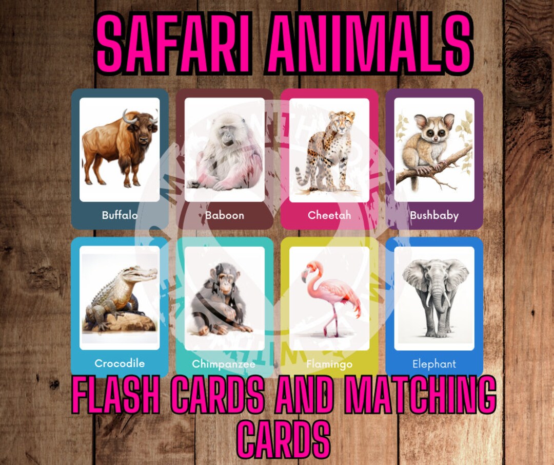 24 Safari Animals Flash Cards for Kids Educational Cards Etsy