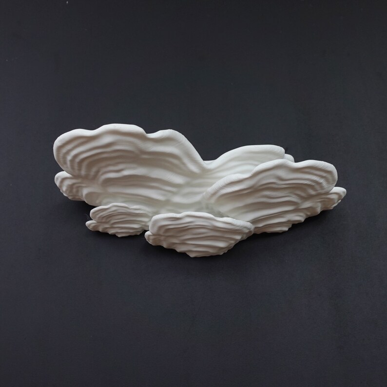 MUSHROOM SHELF | the Ostrea | Large Size Toadstool Accent Display, 3D ...