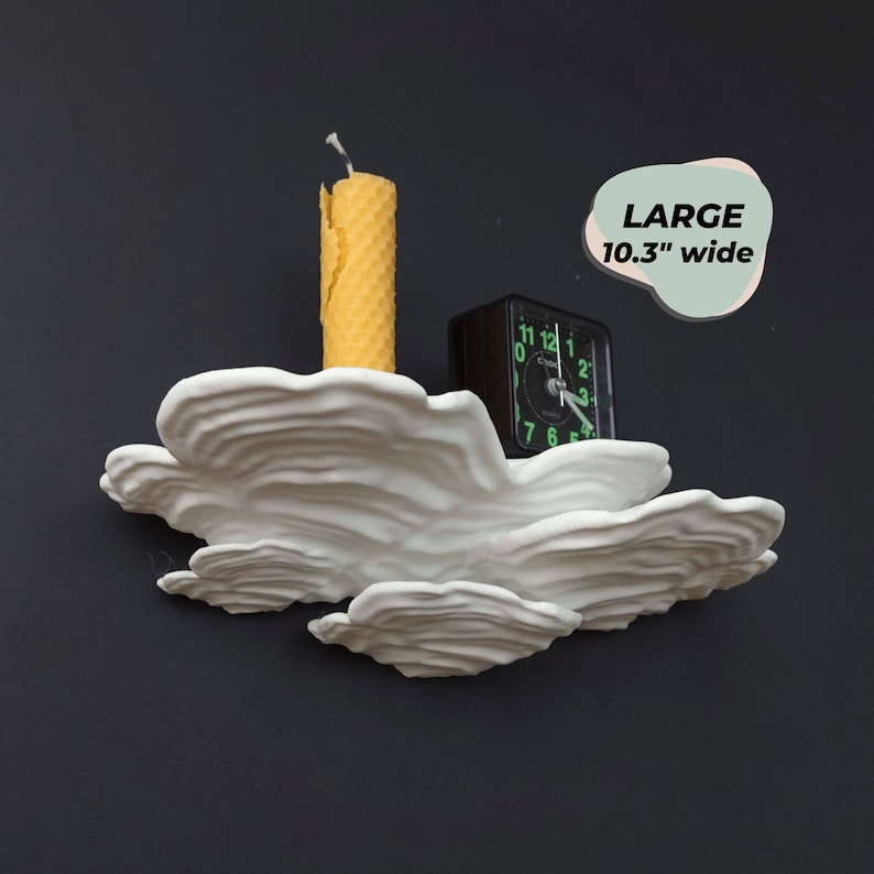 MUSHROOM SHELF | the Ostrea | Large Size Toadstool Accent Display, 3D ...