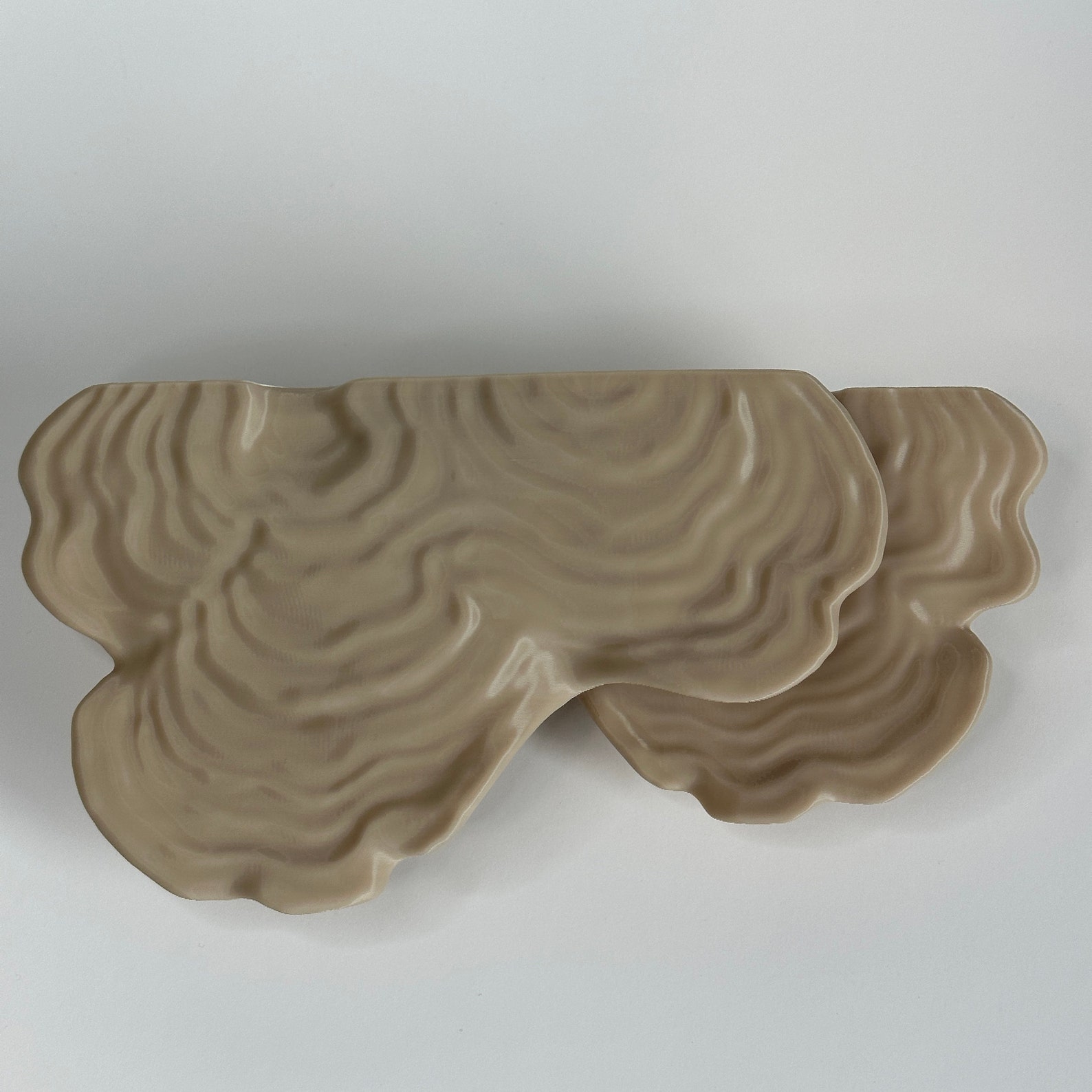 MUSHROOM SHELF | the Ostrea | Medium Size Toadstool Accent Display, 3D ...