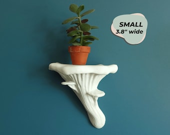 MUSHROOM SHELF | The Oyster | Small Size Toadstool Accent Display, 3D Printed Fungus, Apartment Cottagecore Wall Decor, Boho Aesthetic