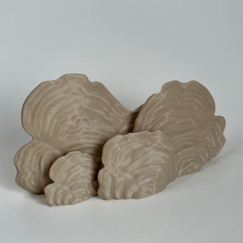 Buy MUSHROOM SHELF | the Ostrea | Medium Size Toadstool Accent Display ...