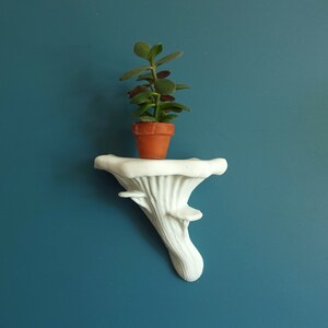 MUSHROOM SHELF | The Oyster | Small Size Toadstool Accent Display, 3D Printed Fungus, Apartment Cottagecore Wall Decor, Boho Aesthetic