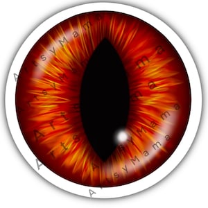 Eyeball Sticker SET! Blue eyeball, Brown Eyeball, Red Eyeball Stickers and MORE. Set of 2 Identical Eyes, Waterproof option.