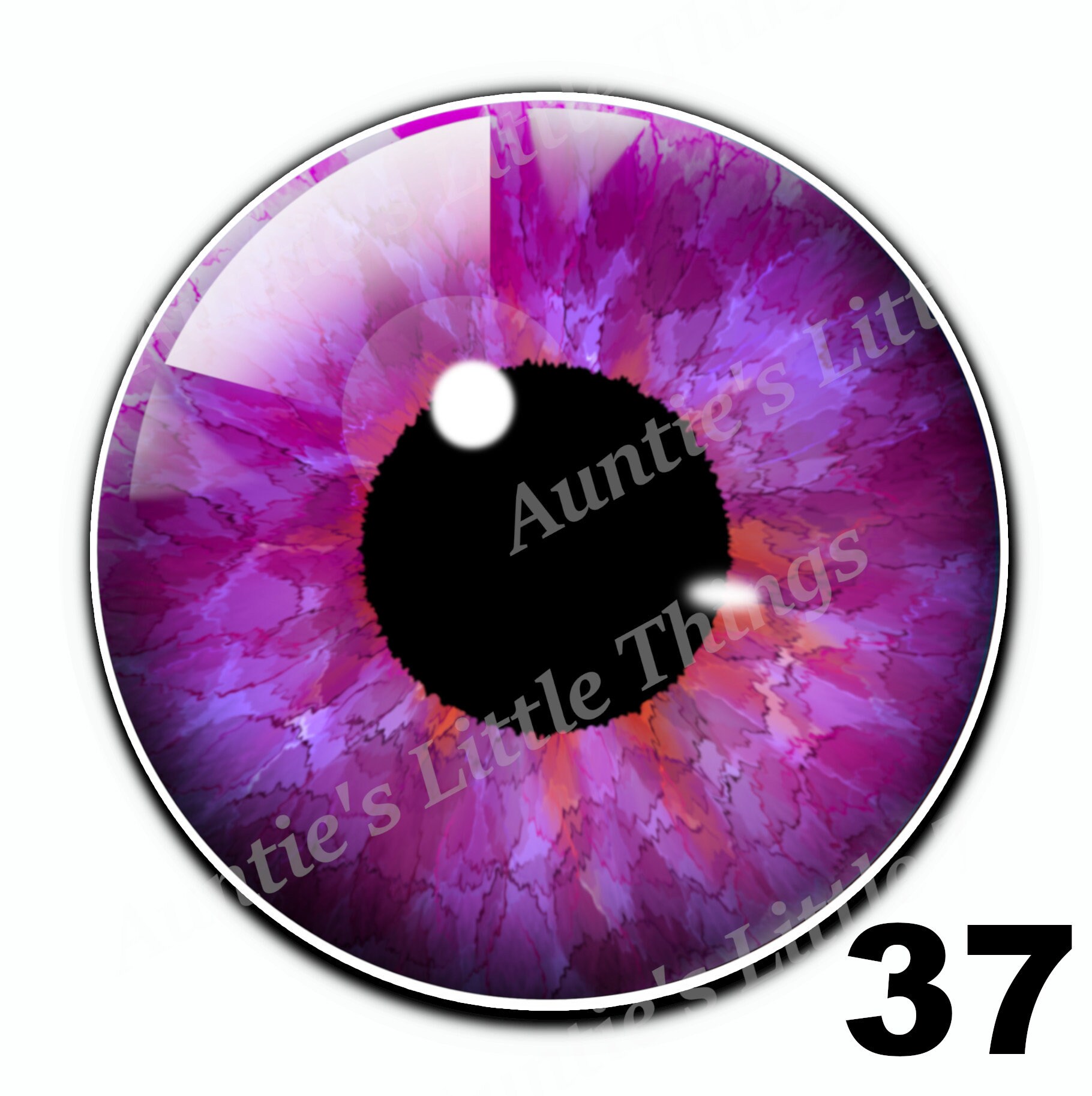 Konxkresloff Eye 33 - btreyn1
