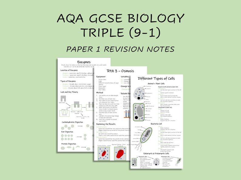 AQA GCSE 9-1 Biology Triple Paper 1 Revision Notes - Etsy UK