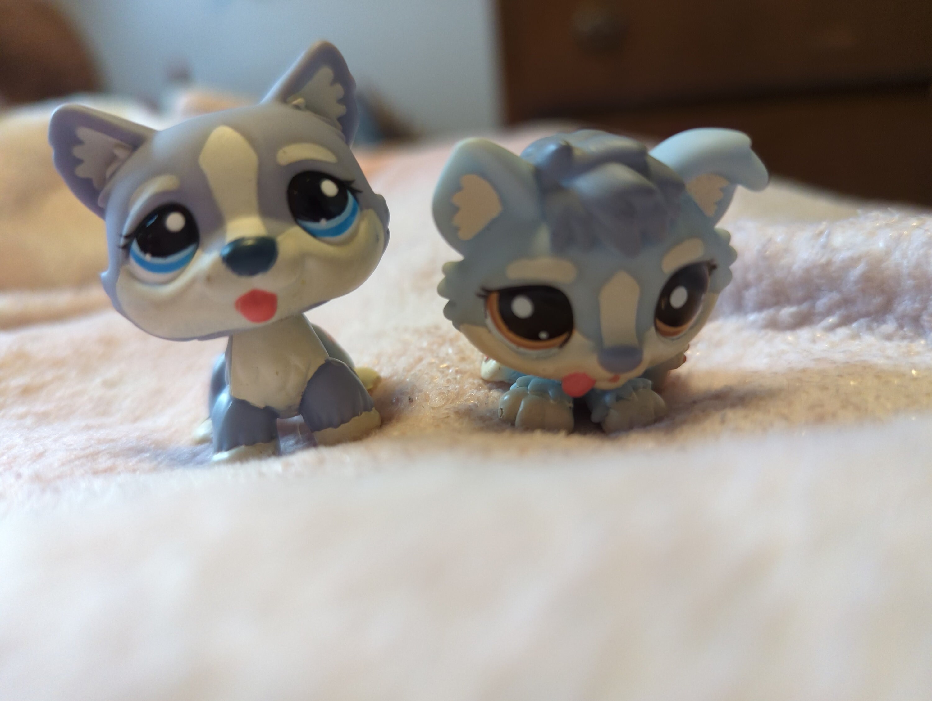Little Pet Shop Husky and Puppy Etsy