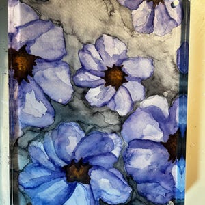 daisies after dark