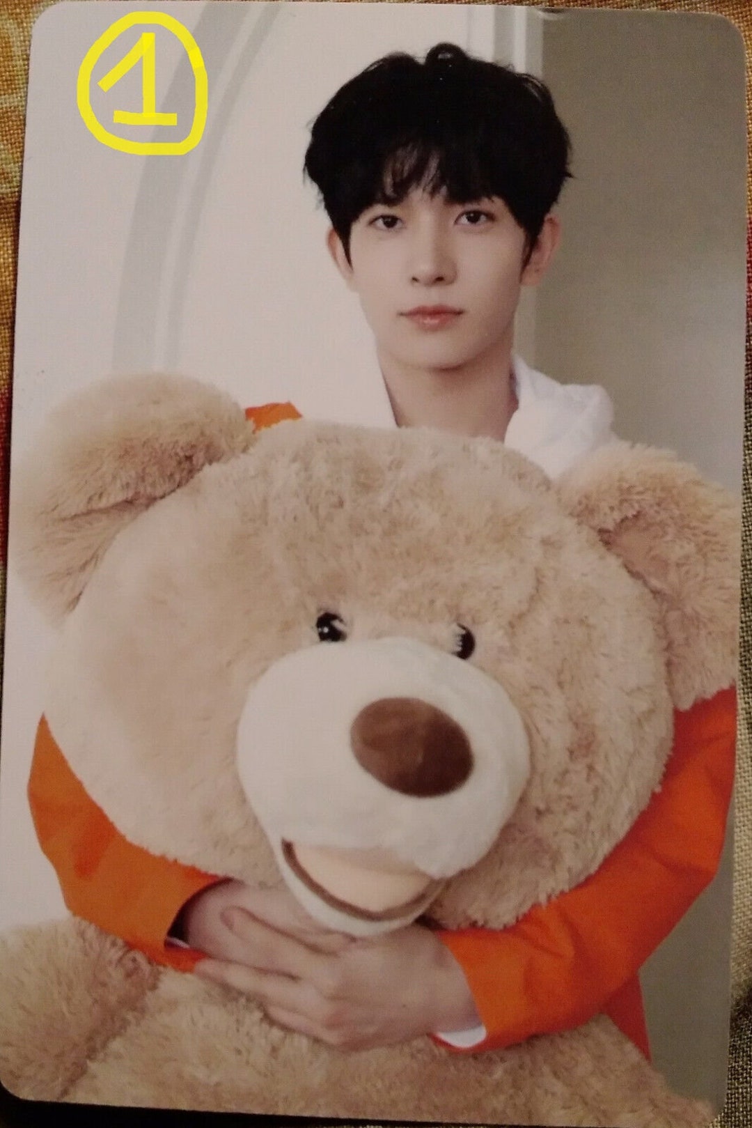 Photocard Au Choix ENHYPEN Season's Greetings Heeseung Etsy