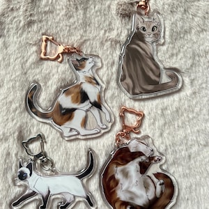 PET CAT Acrylic Charms