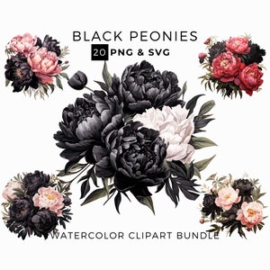Schwarze Pfingstrosen Clipart, Aquarell Blumen PNG & SVG, Pfingstrosen Clipart, kommerzielle Nutzung, sofortiger digitaler Download