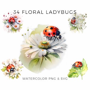 34 Floral Ladybug Aquarelle Clipart PNG & SVG, Art de la pépinière, Artisanat en papier, Utilisation commerciale, Fabrication de cartes
