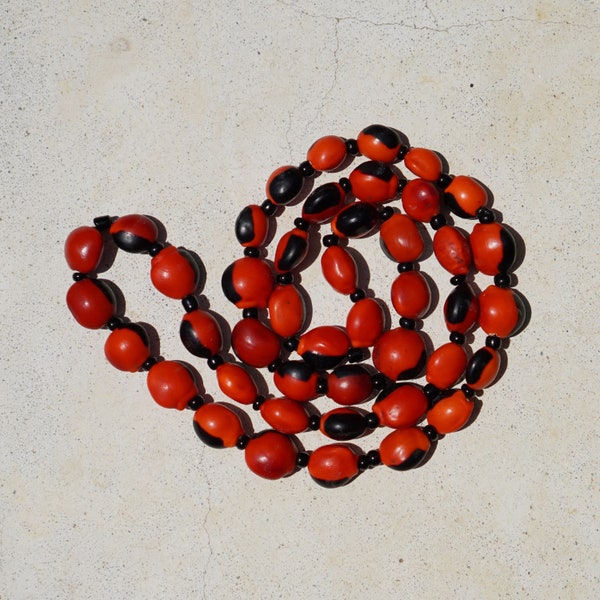 Shipibo protection jungle seed necklace