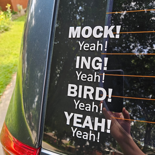 DUMB & DUMBER inspired bumper sticker- MOCKINGBIRD
