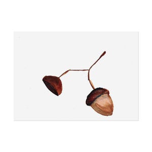 Fall Acorn