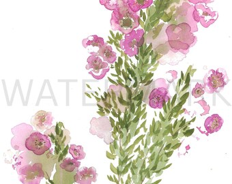 Pink Flowers Watercolor Print