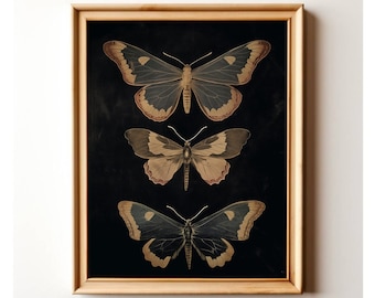 Vintage Moth Print: Gothic Dark Academia Wall Art (Instant Download)