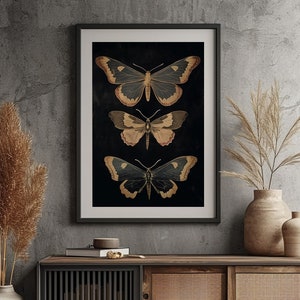 Vintage Butterfly Dark Academia Print - Victorian Gothic Insect Art | Framed or Poster, Black Background Butterfly Illustration for Decor