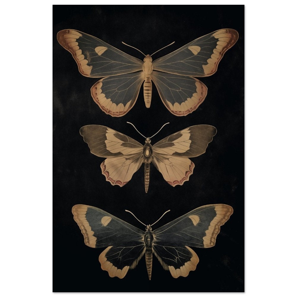 Vintage Butterfly Dark Academia Print Victorian Gothic Insect Art ...