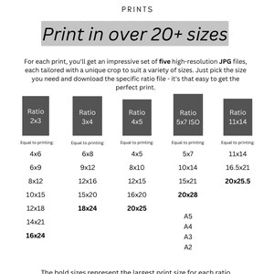 May include: A chart showing different print sizes available for various aspect ratios. The chart lists the ratio, such as 2x3, 3x4, 4x5, 5x7 ISO, and 11x14, and the corresponding print sizes, such as 4x6, 6x8, 4x5, 5x7, and 11x14. The chart also includes standard paper sizes, such as A5, A4, A3, and A2.